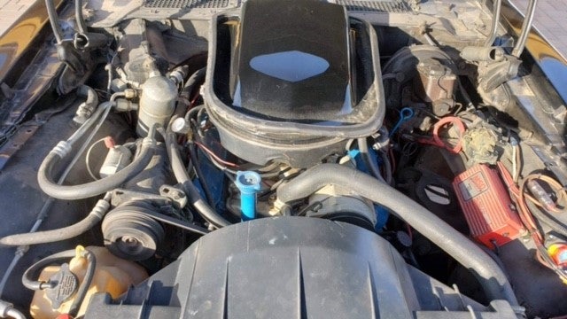 1979 Pontiac Trans Am - Hood with Firebird Decal